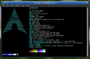 Lenovo-Fastfetch