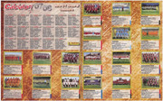 Album-Calciatori-2007-08-Panini-56