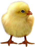 0-1c00e7-75e200ff-orig