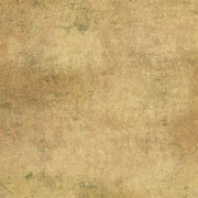Country-Christmas-Kit-22