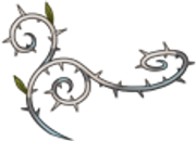 Curl-Top-Left