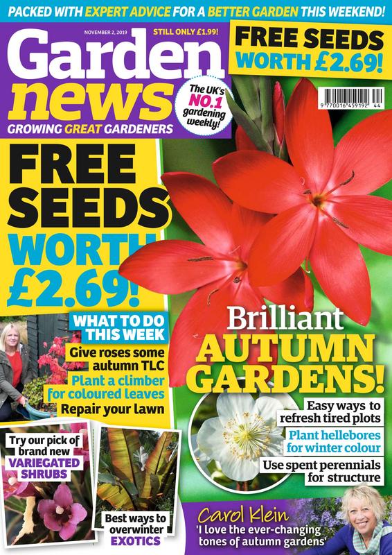 Garden-News-02-November-2019.jpg