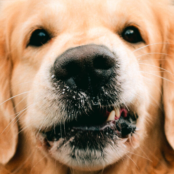 [Image: l2w42uae7chy.jpg]