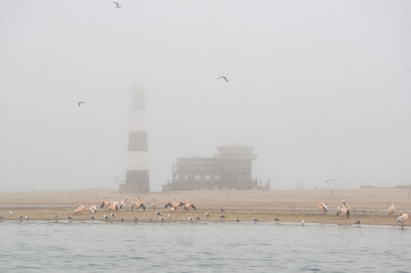 Африканские каникулы - зверики Крюгера, пески Намибии, воды Виктории
