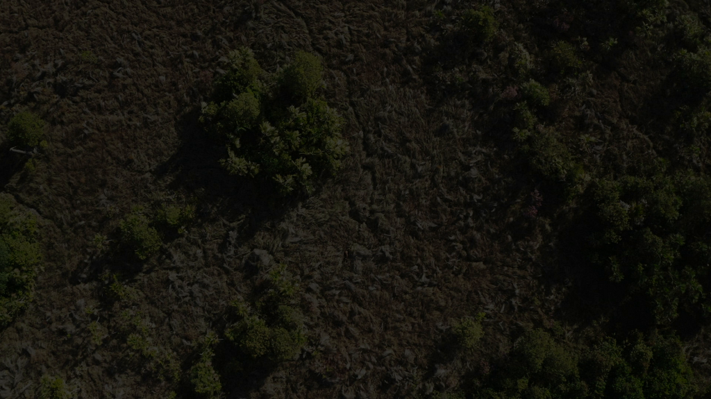 [Image: vqizodeg2831.png]