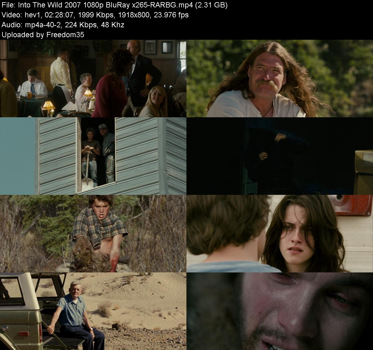 Into-The-Wild-2007-1080p-Blu-Ray-x265-RA