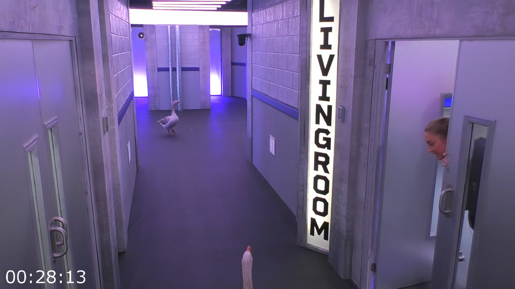 [Image: 9j6e5qshgq0t.png]