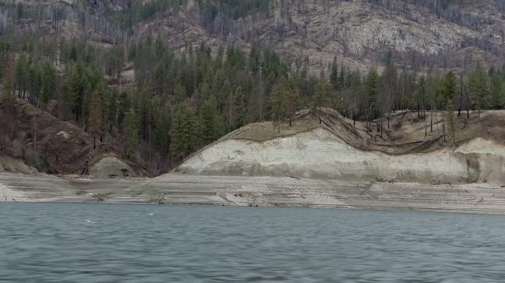 [Image: 8ojyz1tml41p.jpg]