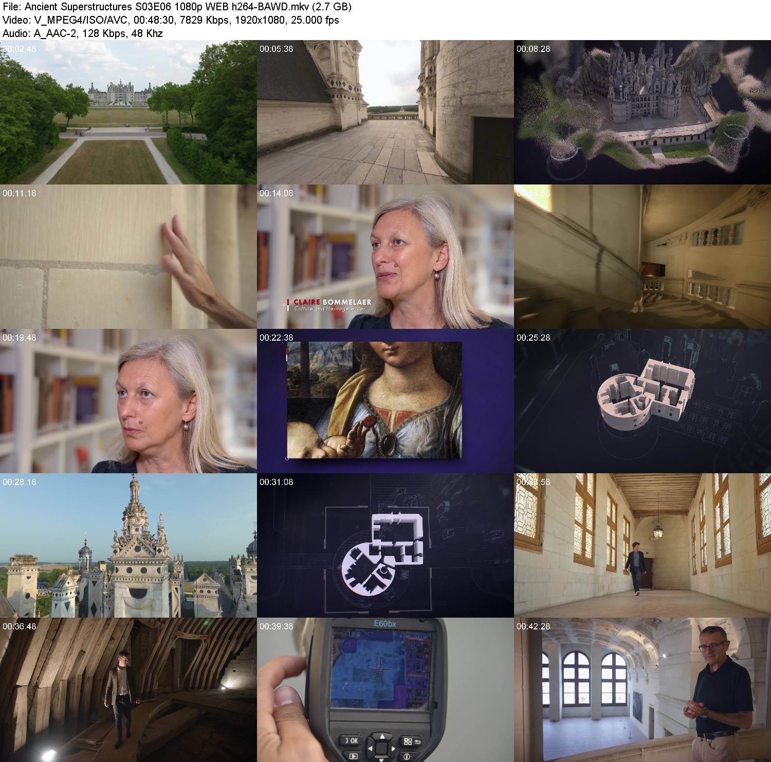 [Image: 3yc7zkr0fq6j.jpg]