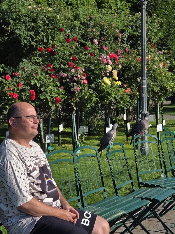 Горы, замки, имперское величие — всё это Австрия