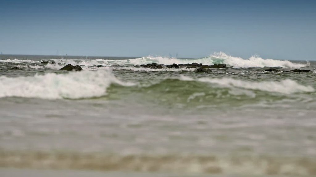 [Image: d9cutrw1p4y4.jpg]