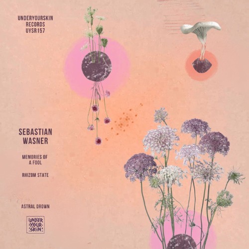 00-sebastian-wasner-memories-of-a-fool-u