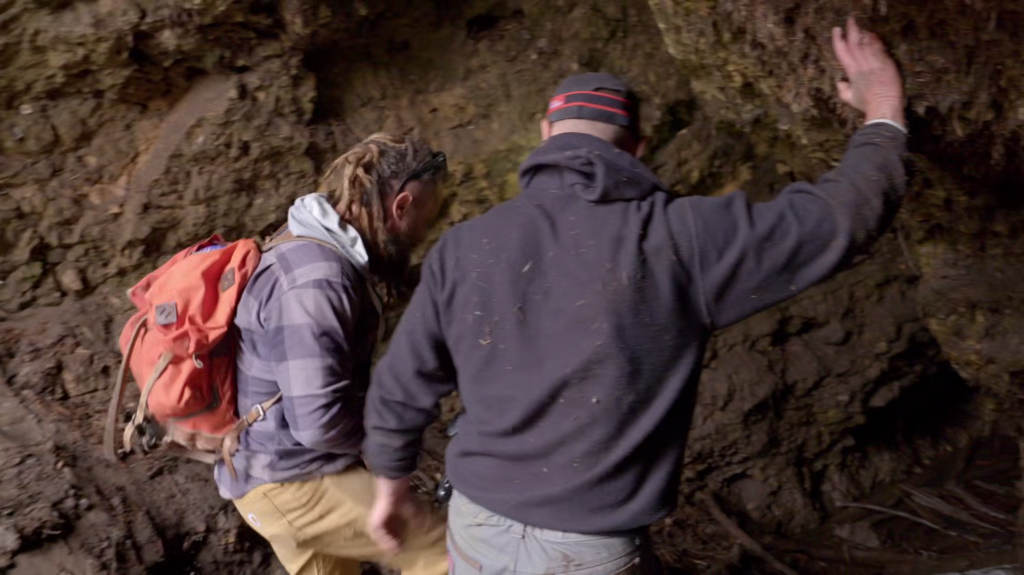 [Image: qnvvty3uk825.png]