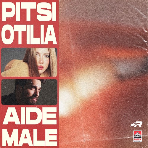 Pitsi and Otilia - Aide Male (2026) MP3