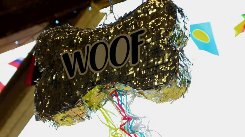 [Image: bdmy770b1eup.jpg]