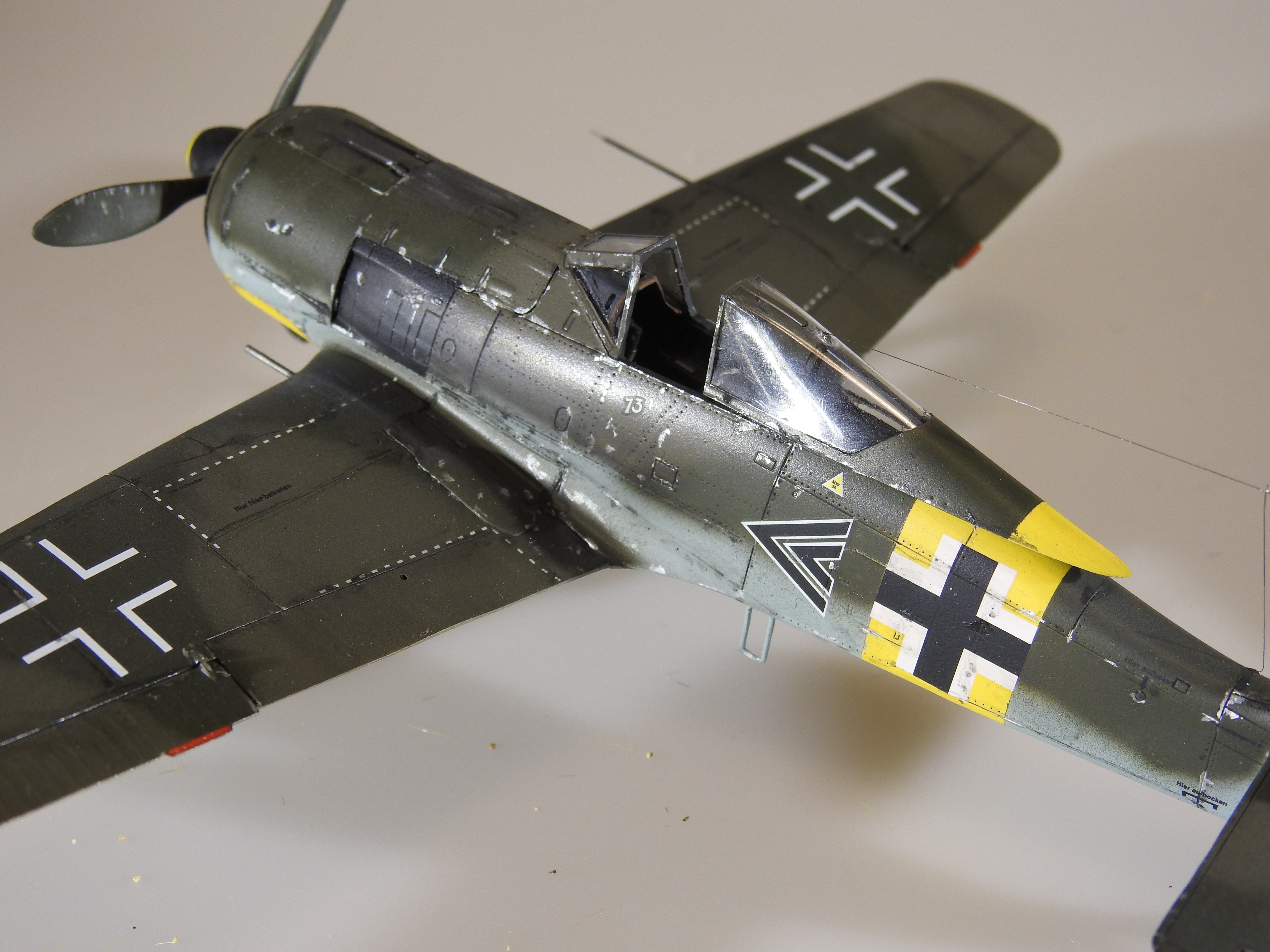 Fw 190A-5, Eduard 1/48 – klar DSCN7538