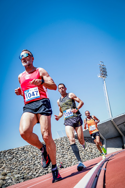 Canary Run 1417