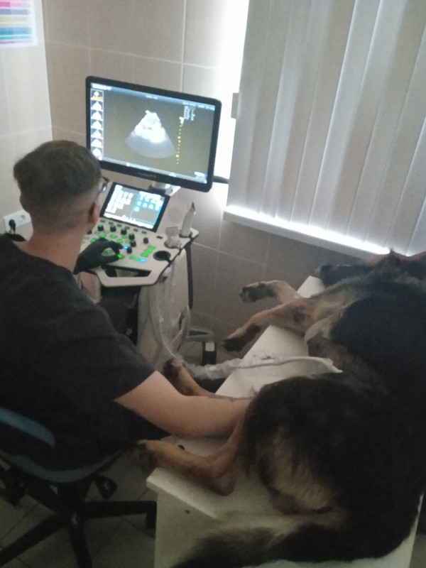 327EAA36-7608-4B8E-915C-5CA80602945D