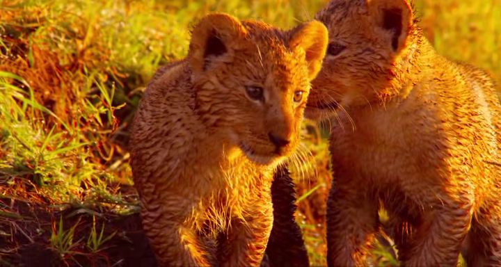 vlcsnap-2018-04-11-19h42m41s962