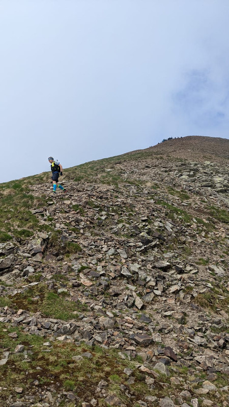 7D37E18F-8A5A-43CB-8A2E-0B910D99833E