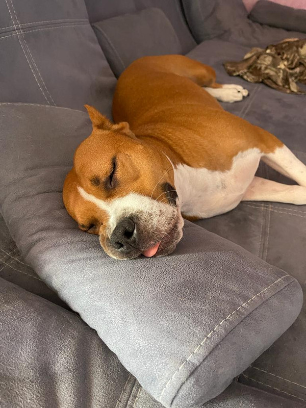 F6076C27-4A59-4458-9630-9DCEAE165278