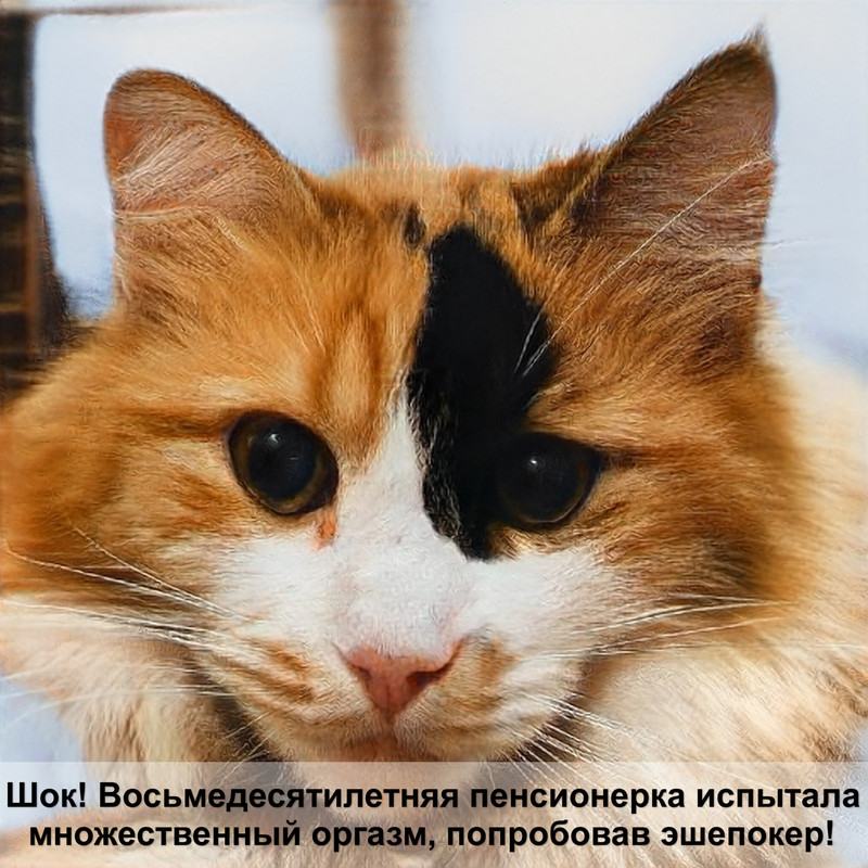 египетская кошка без шерсти