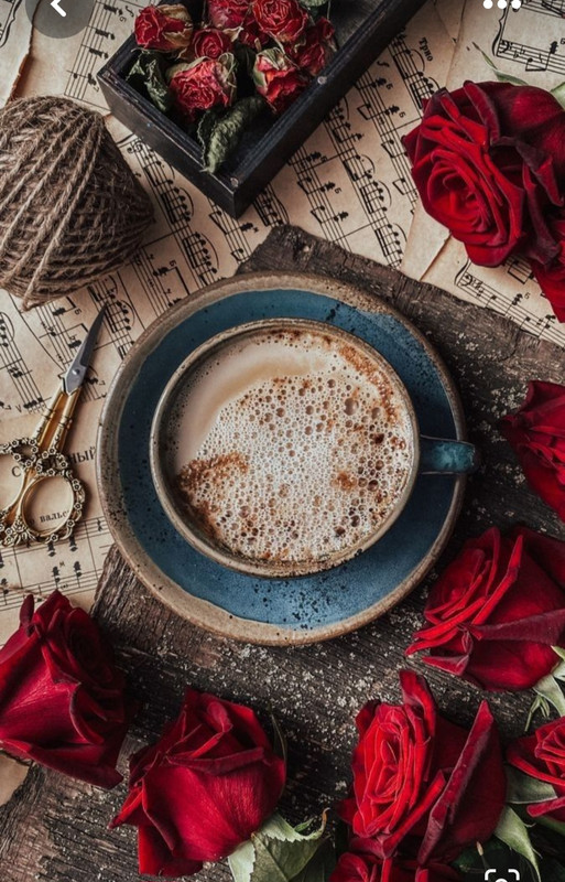 Screenshot_20230731_230614_Pinterest