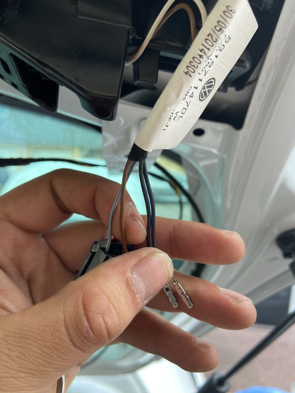 8EB52E7A-E46E-4065-8982-E61FAE24D343