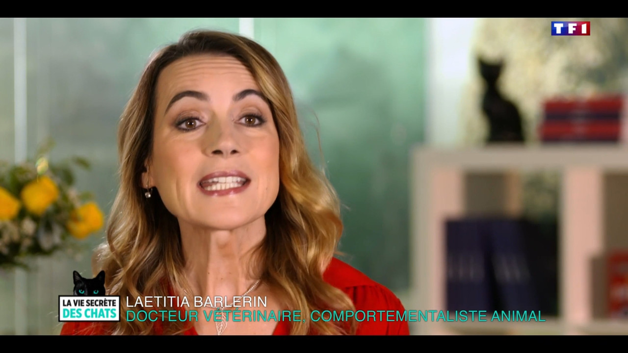 2020-05-30_10_35_TF1_La-vie-secrete-des-chats_Chats-et-sentiments-avec-Charlotte-Valan.mp4_snapshot_