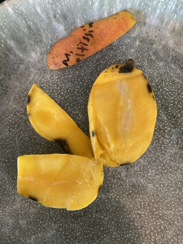 maltissima