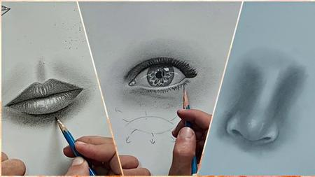 How To Draw A Realistic Cat Eye In Colored Pencil