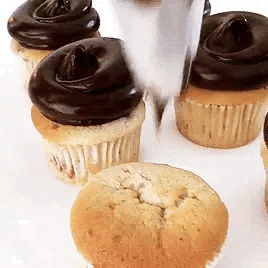 2CC7084B B17F 4044 ACD0 C0E1D69E4019