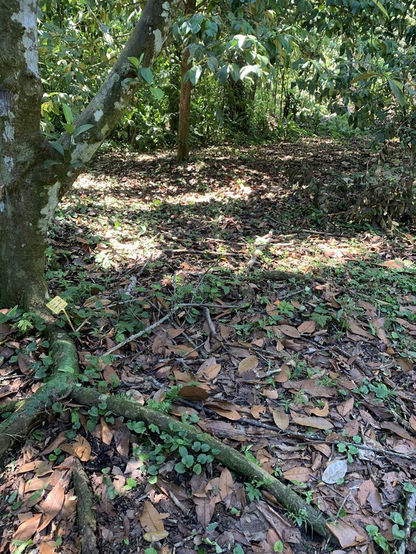 782A50C9-D23F-46C5-B64B-74743034E806