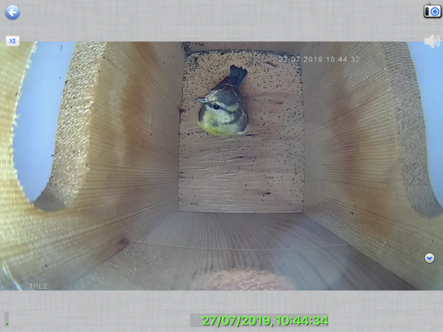 00C30F79-6E08-4D3F-8648-C4E0088D33BA