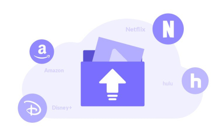 VidiCable 1.1.1 Multilingual