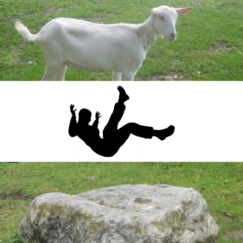 slika