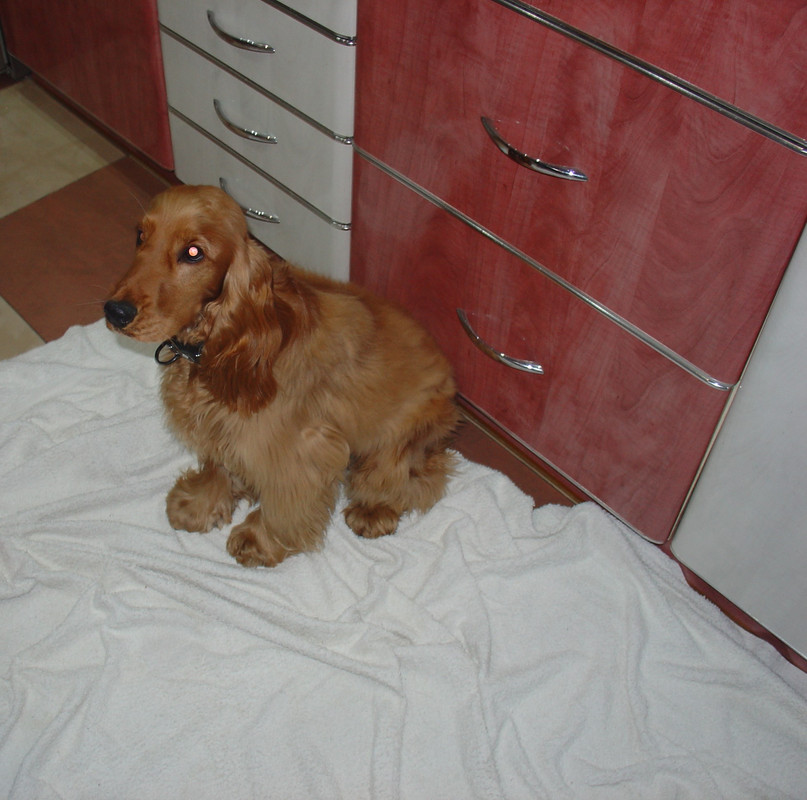 DSC00176