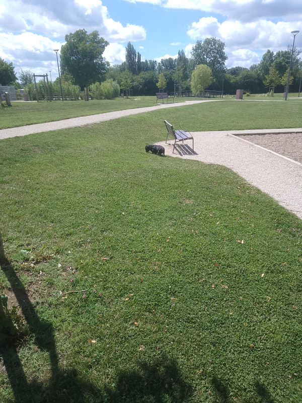 [Image: Poppins.jpg]