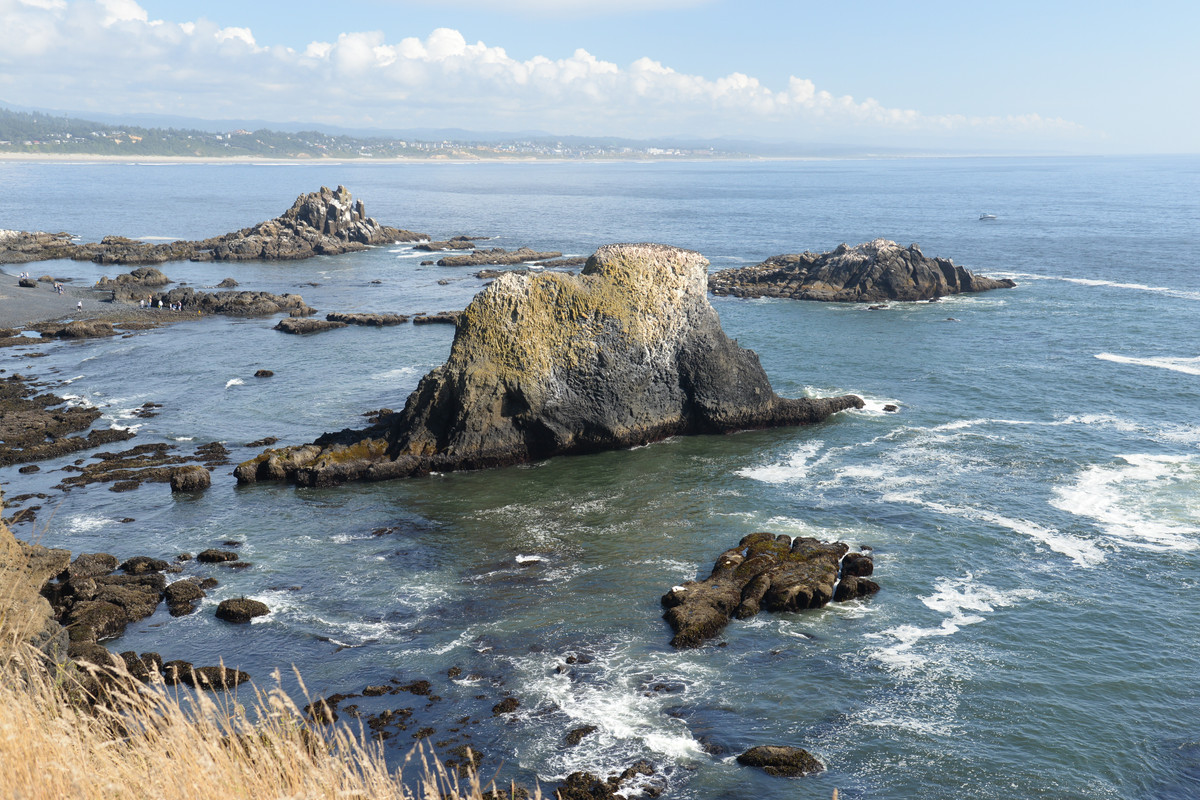 Árboles gigantes, fuegos y volcanes extintos - Oregon y California norte (2018) - Blogs de USA - Portland y costa de Oregon (24)