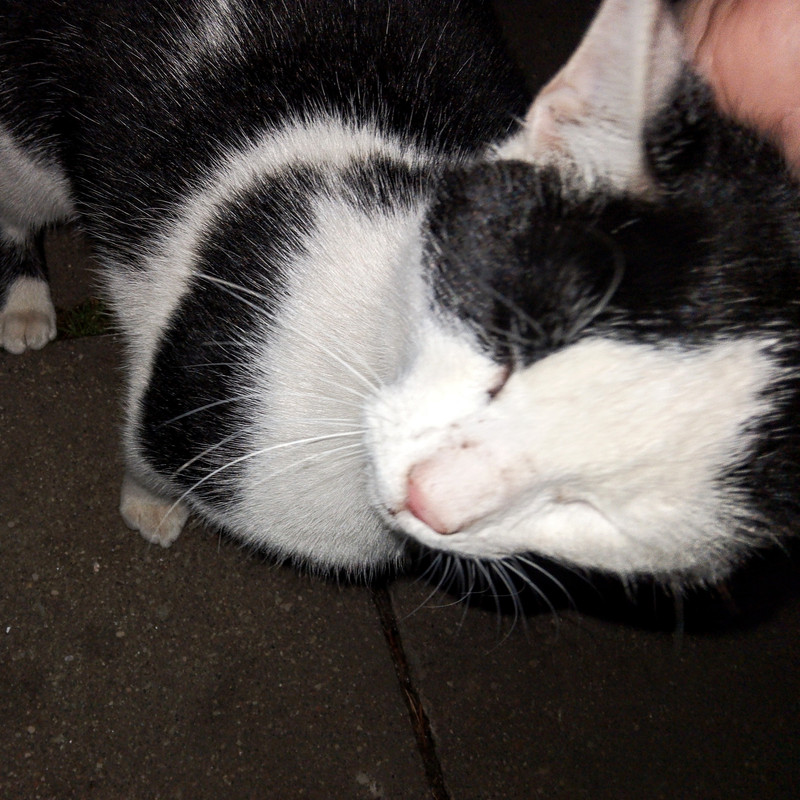 IMG_20241125_221117~2