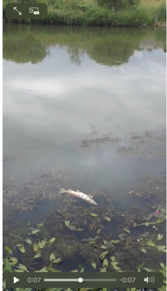 Снимок экрана 2018-07-03 в 17.27.22