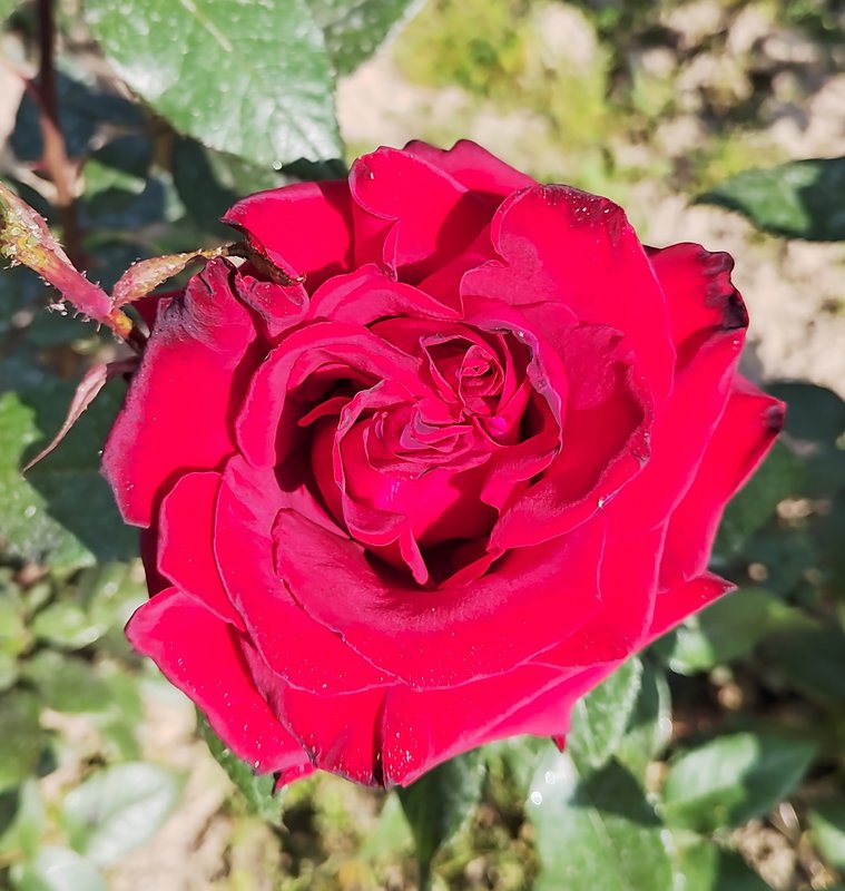 https://i.postimg.cc/8P387K4k/13-IMG-20230424-092536.jpg