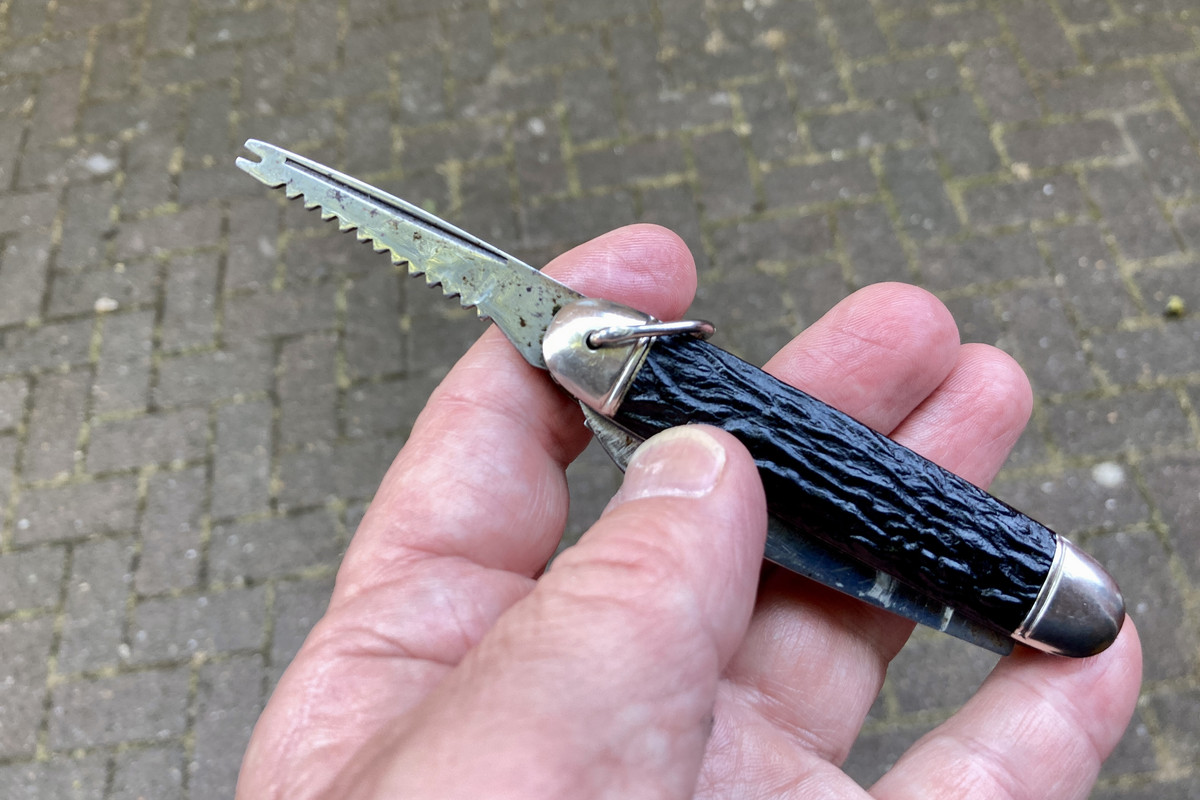 823C3F1C-D743-479C-A378-640A1516216E