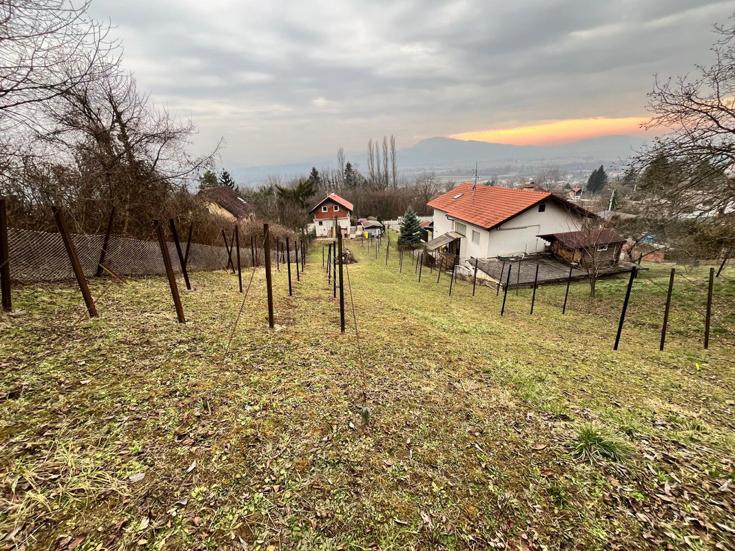 WhatsApp Image 2025-02-24 at 18.16.32 (3)