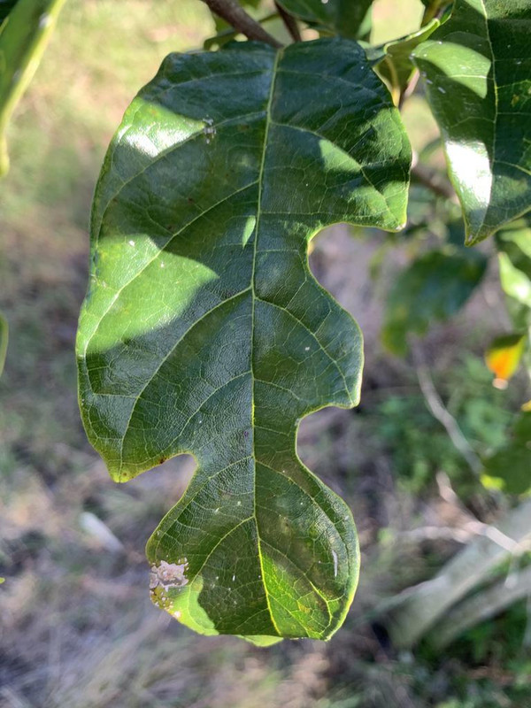 892F3C57-12E6-4342-BD05-DFB5C9A23D52