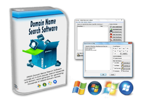 DNSS Domain Name Search Software 2.3.0 Portable