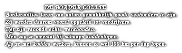 cooltext376715006930488