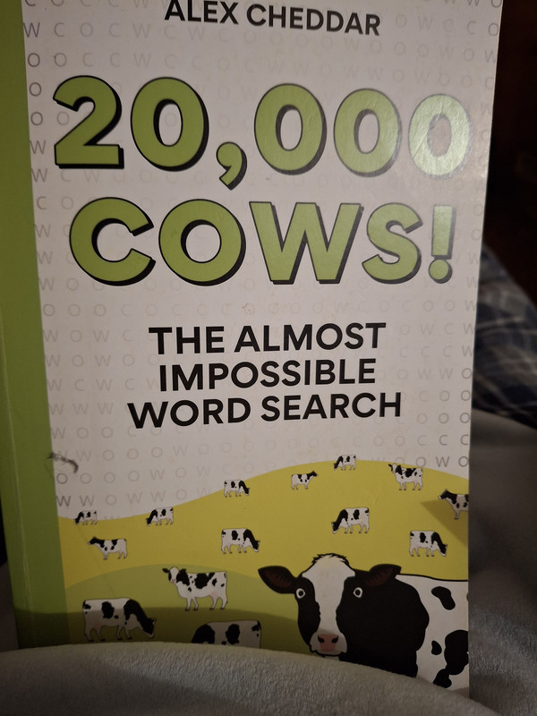 20250221-192715.jpg