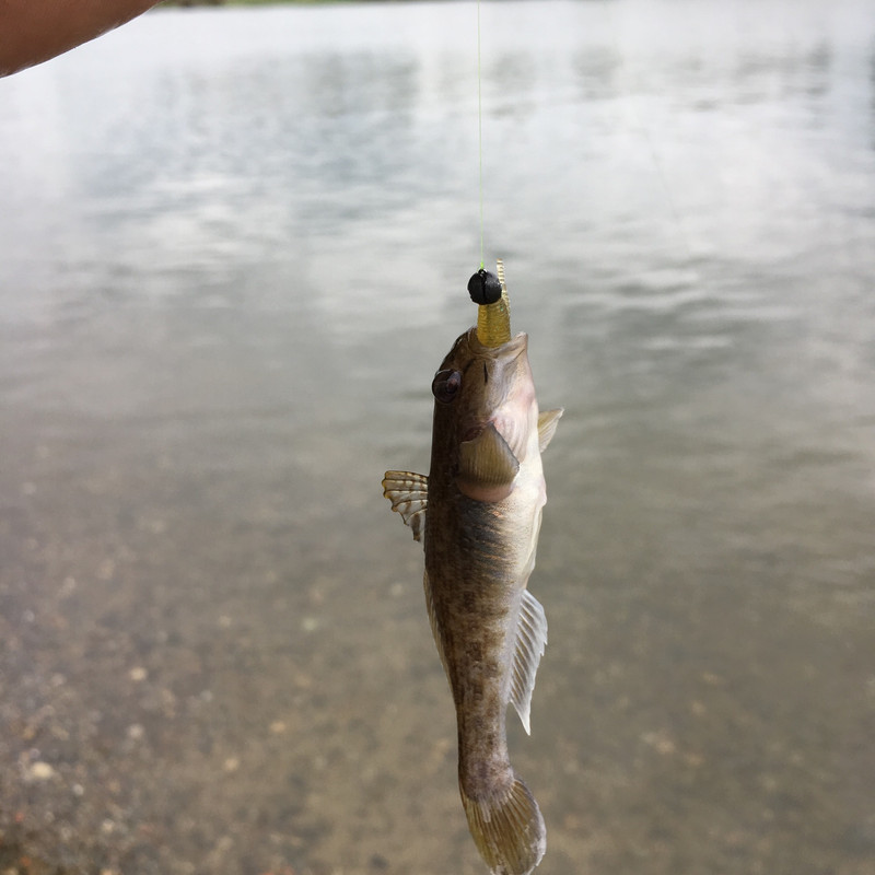 5B4D6CEA-3FC1-4CF8-A92A-ABAA6A789ECE