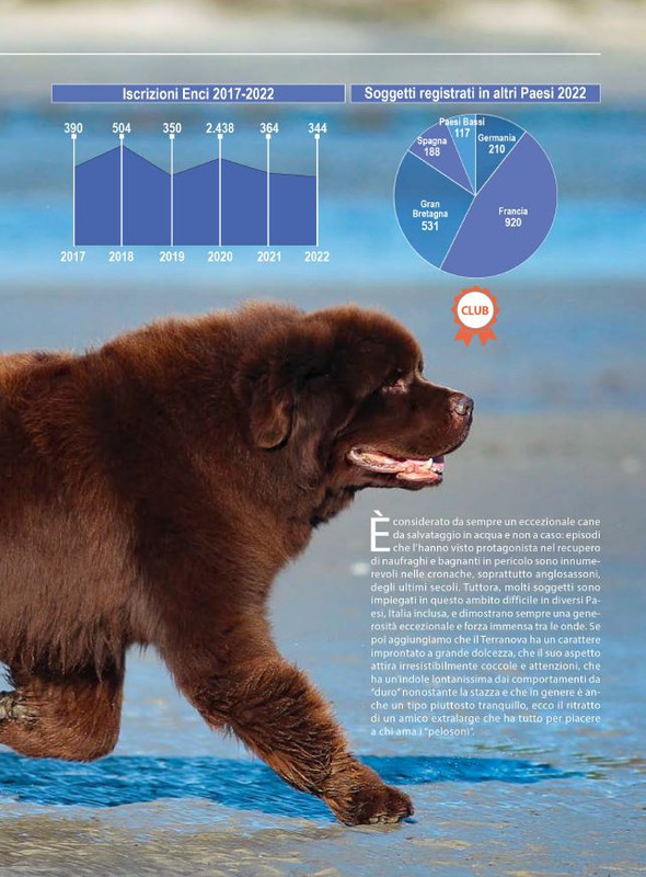 Il M C Mag-Giu 2024 (2)